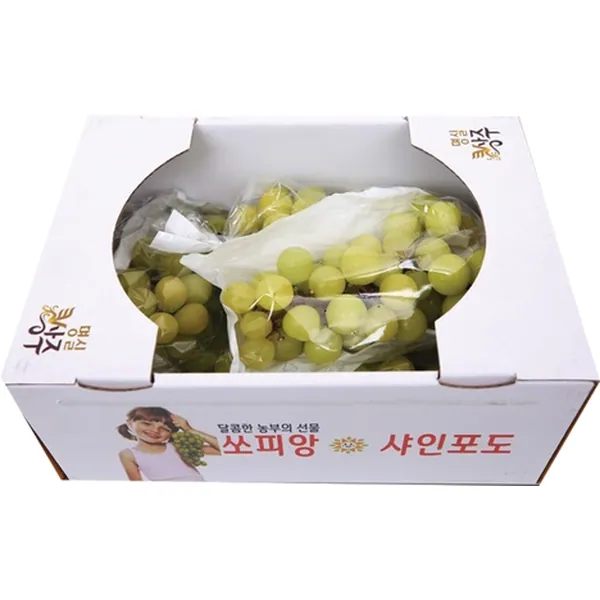샤인머스켓 특