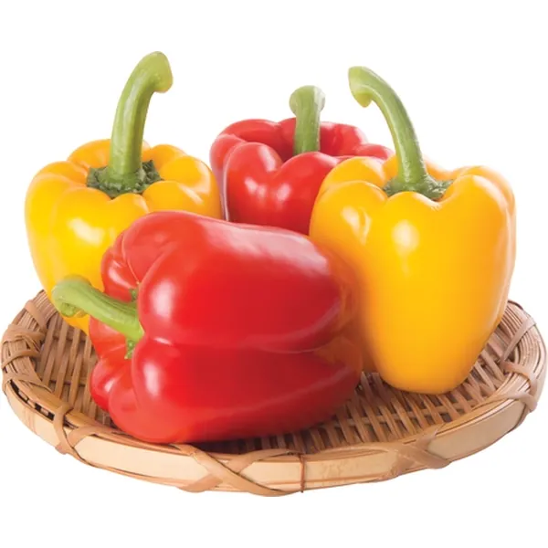 피프리카 빨강. 노랑